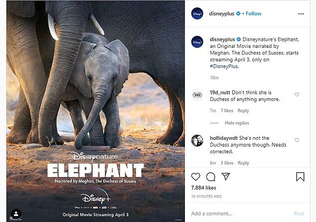 Meghan's collaboration (pictured) with the popular film making company is set to benefit the Elephants Without Borders charity - an organisation dedicated to conserving wildlife and helps protect the animals from poaching