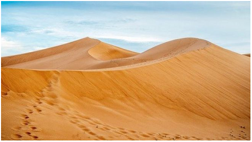 desert