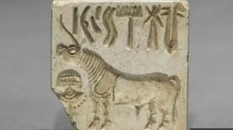 سندھ کی پہیلی