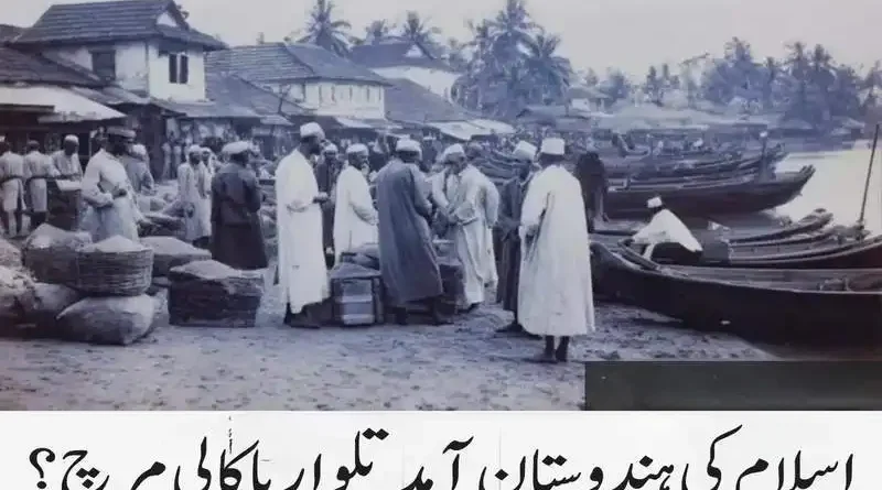 اسلام کی ہندوستان آمد تلوار یا کالی مرچ؟