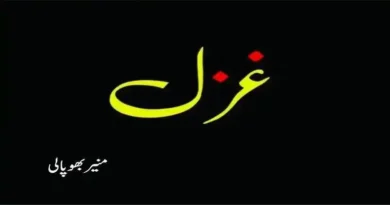 غزل ۔ ۔ ۔ منیر بھوپالی