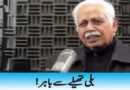 !بلی تھیلے سے باہر