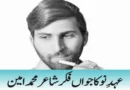 عہدِنو کا جواں فکر شاعر محمد امین