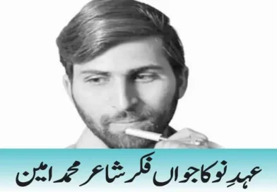 عہدِنو کا جواں فکر شاعر محمد امین