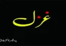 غزل ۔ ۔ ۔ پروفیسر ڈاکٹر طارق بشیر
