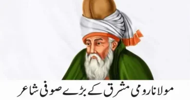 مولانا رومی مشرق کے بڑے صوفی شاعر