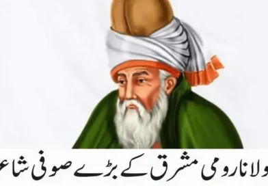 مولانا رومی مشرق کے بڑے صوفی شاعر