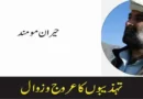 تہذیبوں کا عروج و زوال